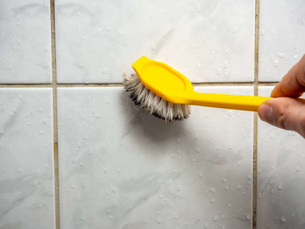 Best Mold Removal Near Me  in Andalusia, IL