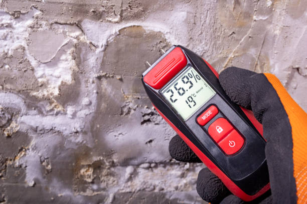 Best Office Mold Removal Services  in Andalusia, IL
