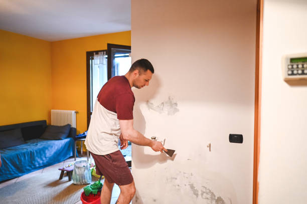 Best Commercial Mold Removal  in Andalusia, IL